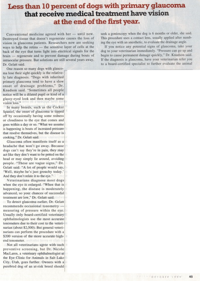 glaucoma5.jpg (159885 bytes)