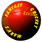 Mark's Fantasy Cricket