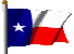 Texas State flag