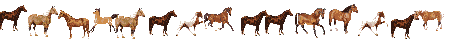 herdline.gif (3185 bytes)