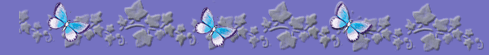 butterflybar.gif, 13 kB