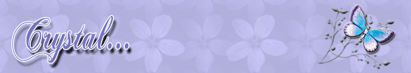 Wendee's Beaded Earrings