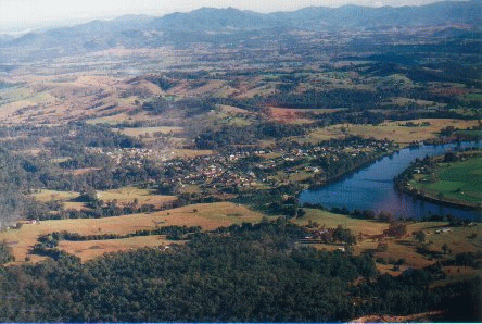 tinonee2 tinonee2.gif, 96 kB
