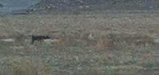 S02140401.JPG (3622 bytes)