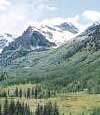 American Wilderness