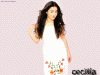 cecilia5.gif (112970 bytes)