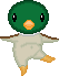 Mallard Drake