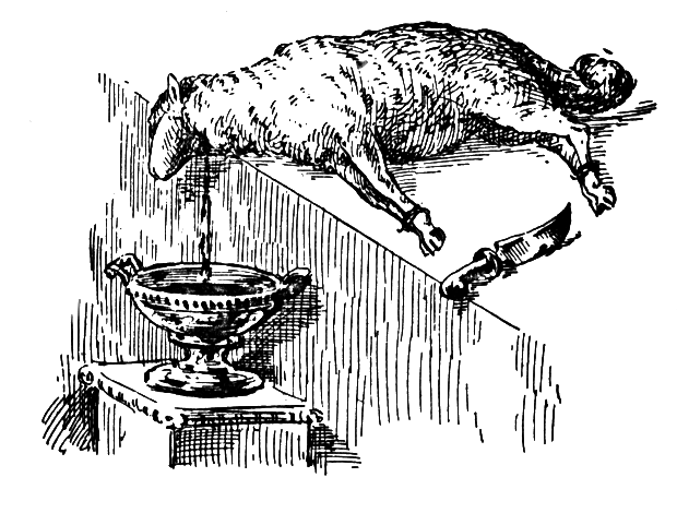 The slain passover lamb