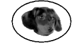 Next Dachshund Ring Site