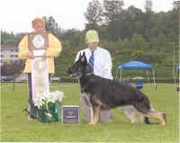 GeorgeW.jpg (34461 bytes)