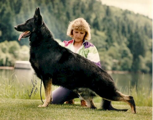 Present.jpg (56606 bytes)