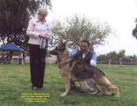 gobi.jpg (33085 bytes)