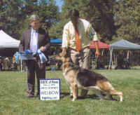 jeb.jpg (63480 bytes)