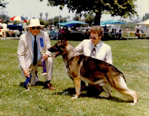 past.jpg (79026 bytes)