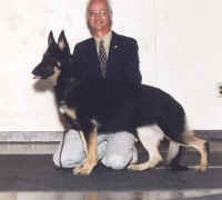 sarengetti.jpg (31551 bytes)