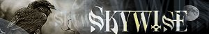 Skywise Studios