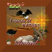 Safari Award