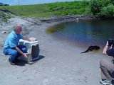 Otter Release