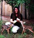 Twin Male Deer
