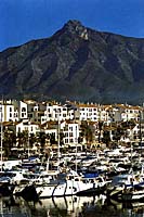 7.jpg (11777 bytes)