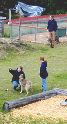 Do what I say or you're going to that big dog house in the sky!