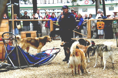 Sled dog training demonstration