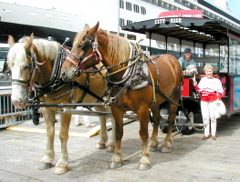 Frankie, Elmer, driver, and Lydia