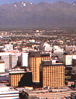 The Hotel Captain Cook