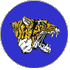 313 Squadron
