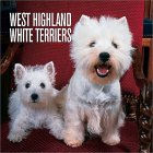 Westie Calender