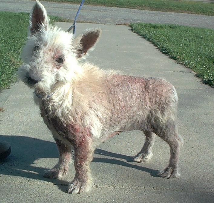 Read about Minnie