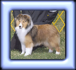 Photo By Jeff Yasenchok