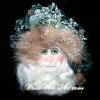 santa16300.jpg (69212 bytes)