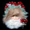 santa19300.jpg (70232 bytes)