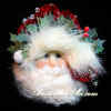 santa6300.jpg (76108 bytes)