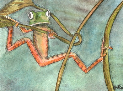 Frog