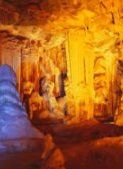 South African Coach Tours Pictures