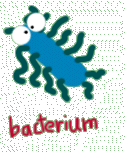 bacterium.gif (5942 bytes)