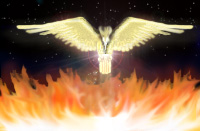 The Phoenix