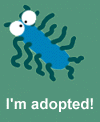 sbacterium.gif (4212 bytes)