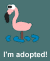 sflamingo.gif (3477 bytes)