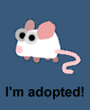 smouse.gif (3227 bytes)