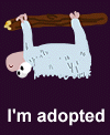 ssloth.gif (2902 bytes)