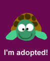 sturtle.gif (3721 bytes)