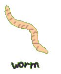 worm.gif (4223 bytes)