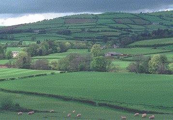 Welsh Countryside