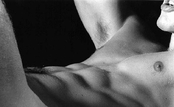 feb04.gif (73433 bytes)