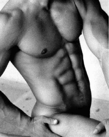 feb06.gif (79050 bytes)