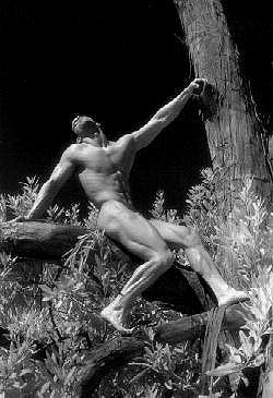 march09.gif (87492 bytes)