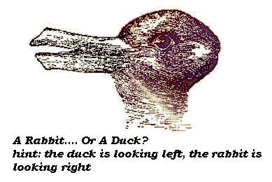 Duck or Rabbit?
